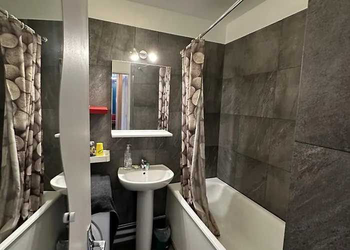 Meuble Les Domes Du Parc 12eme דירה קלרמונט-פרנד